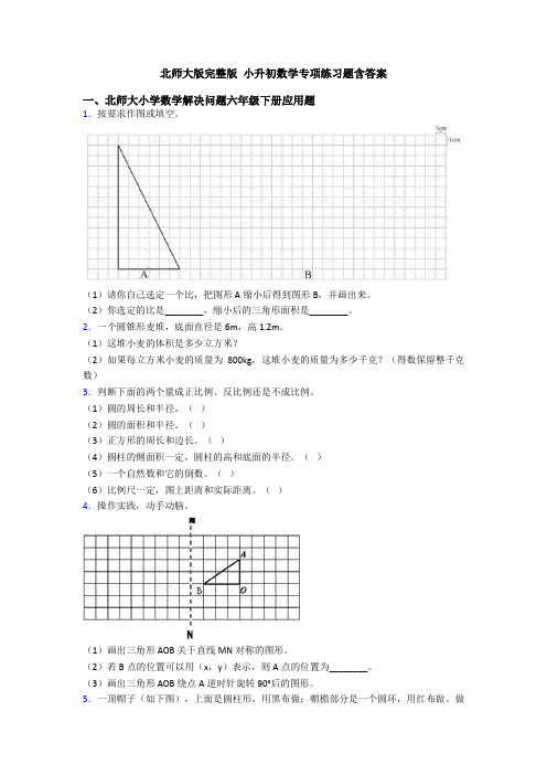 北师大版完整版 小升初数学专项练习题含答案