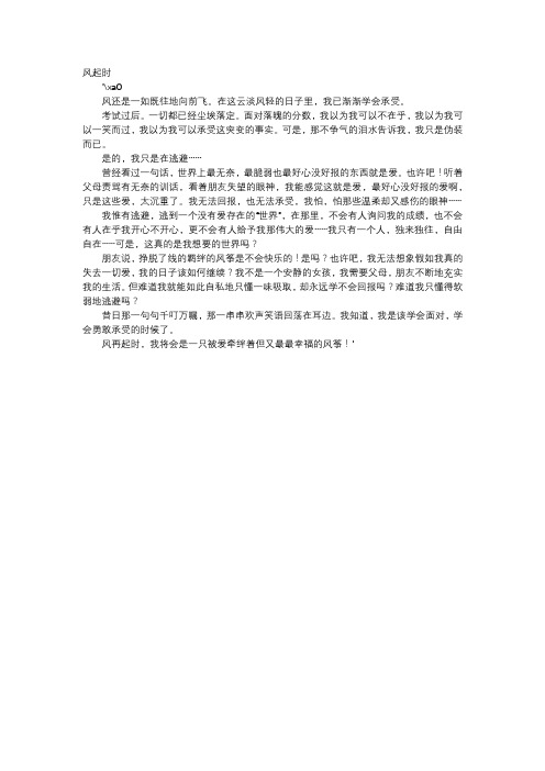 高中作文-风起时