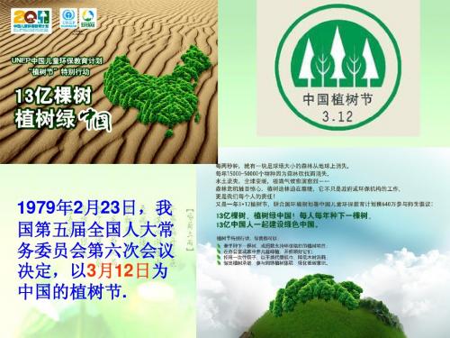 群落的结构