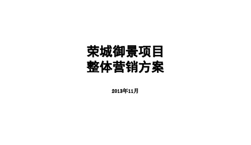 荣昌御景整体营销方案
