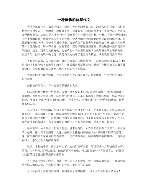 一种植物的仿写作文