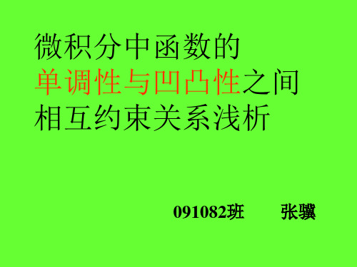 单调性与凹凸性