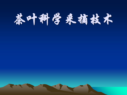 茶叶科学采摘技术ppt课件