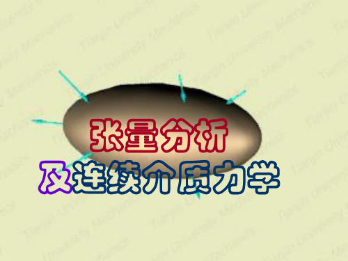 2.4二阶张量标准形