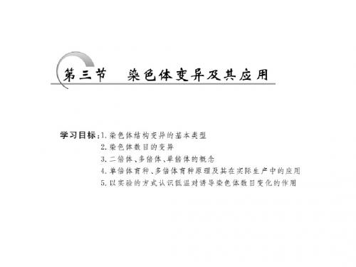 高一生物苏教版必修二第三章第三节染色体变异及其应用精选教学PPT课件