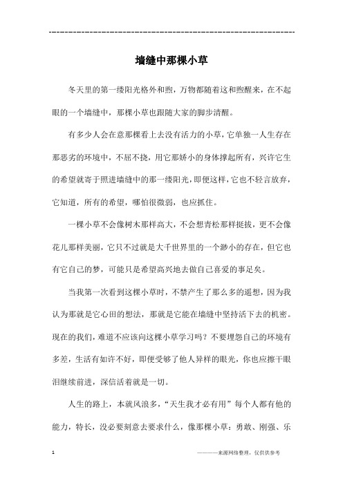 墙缝中那棵小草_初三作文
