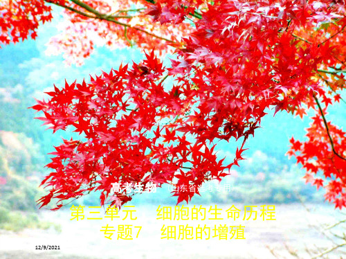 高考生物一轮复习专题7细胞的增殖课件高三全册生物课件