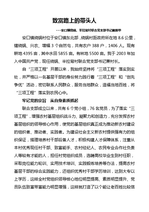 致富路上的带头人