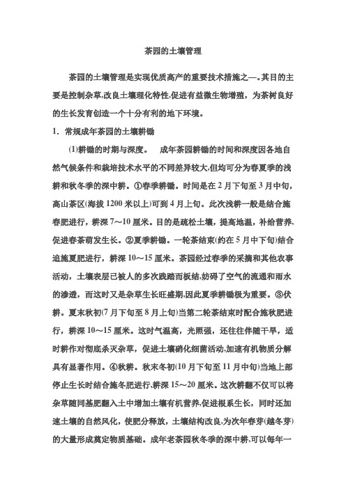 茶园的土壤管理