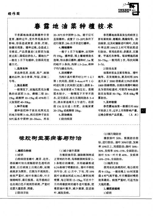 橡胶树主要病害与防治