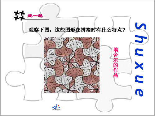 平面图形的密铺ppt1 北师大版