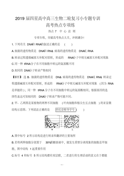 2019届四星高中高三生物二轮复习小专题专训——高考热点专项中心法则