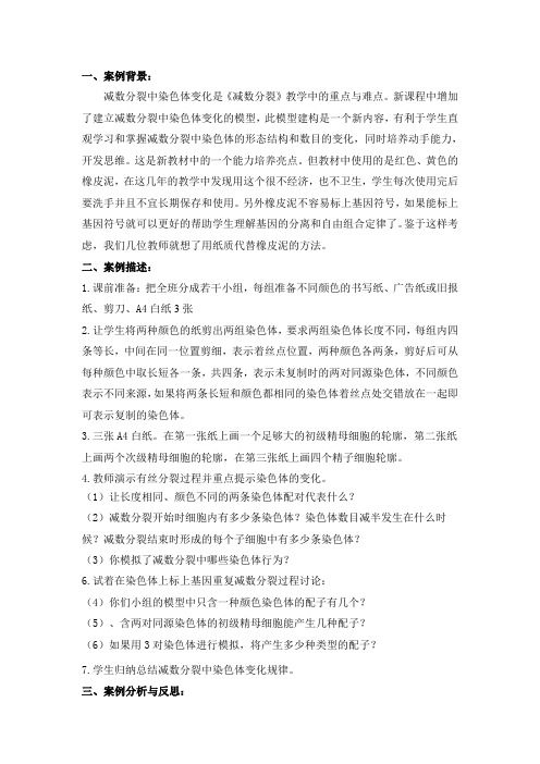 建立减数分裂中染色体变化的模型案例