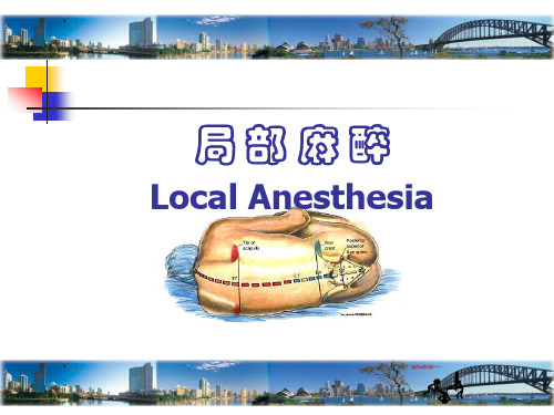 外科学麻醉第7版(2)