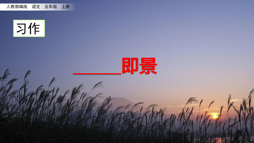 部编版五年级语文上册第七单元习作语文园地七PPT课件
