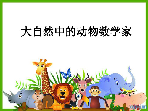 自然界的数学家