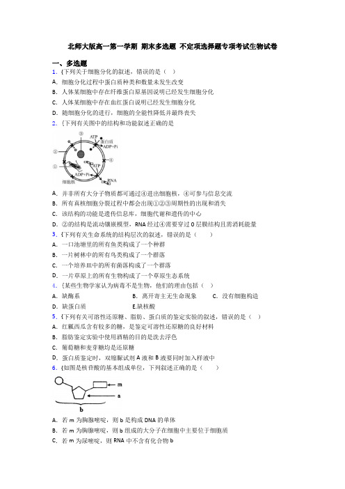 北师大版高一第一学期 期末多选题 不定项选择题专项考试生物试卷