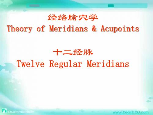 十二经脉