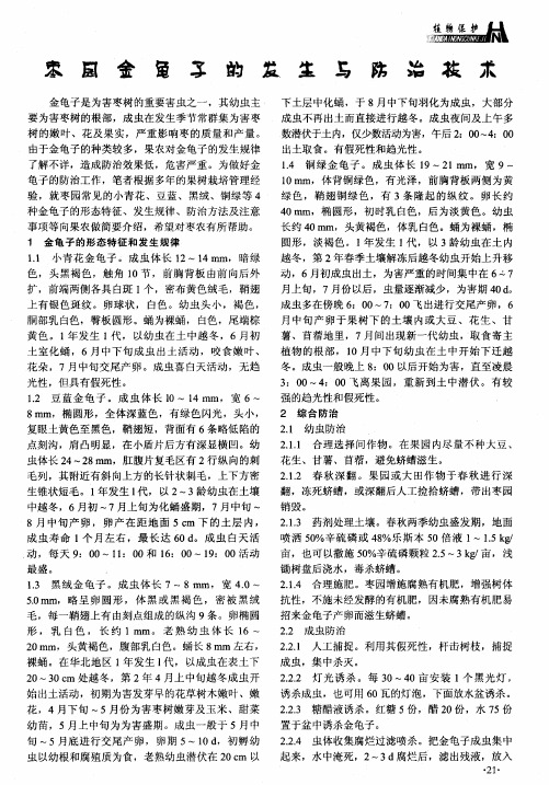 枣园金龟子的发生与防治技术