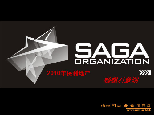 2010年保利石象湖营销策略报告12.28