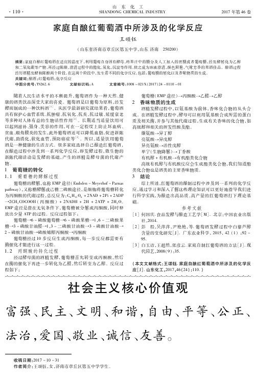 家庭自酿红葡萄酒中所涉及的化学反应