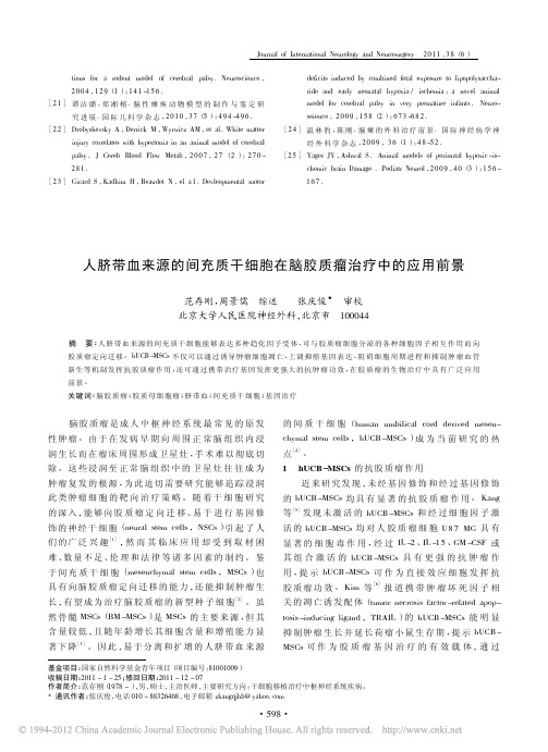 人脐带血来源的间充质干细胞在脑胶质瘤治疗中的应用前景