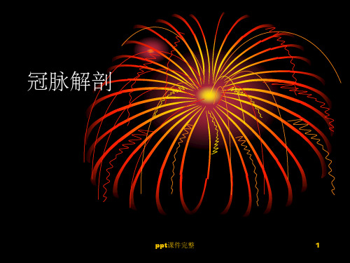 冠脉解剖ppt课件