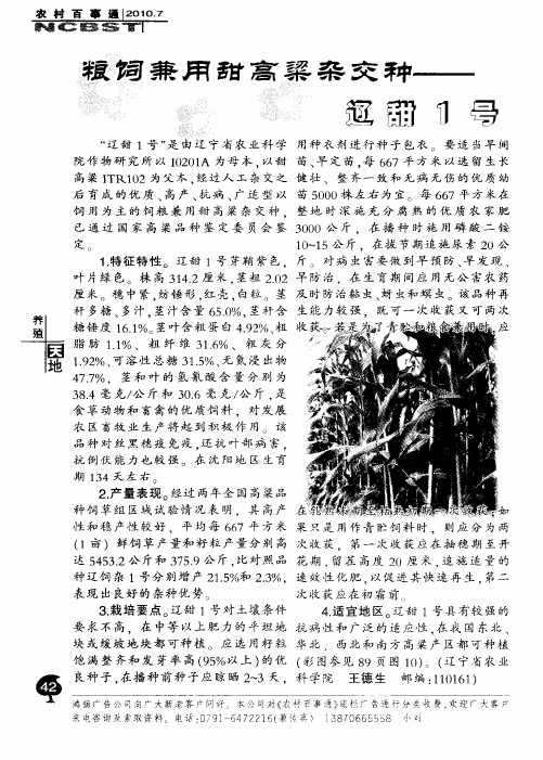 粮饲兼用甜高粱杂交种——辽甜1号