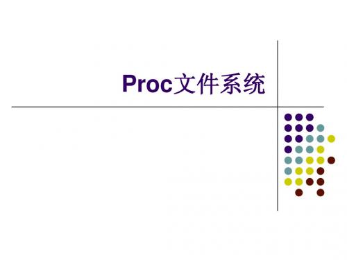 19 Proc文件系统