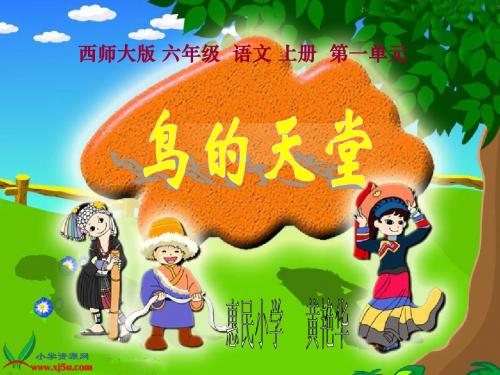 (西师大版)六年级语文上册课件 鸟的天堂
