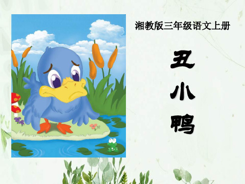 《丑小鸭》12PPT课件 图文