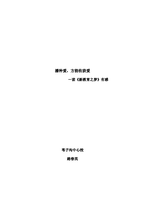 播种爱1