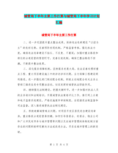 城管局下半年主要工作打算与城管局下半年学习计划汇编