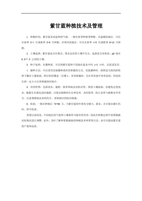 紫甘蓝种植技术及管理