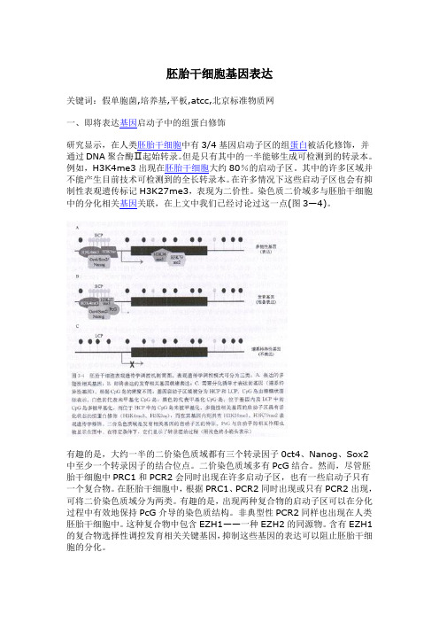 胚胎干细胞基因表达