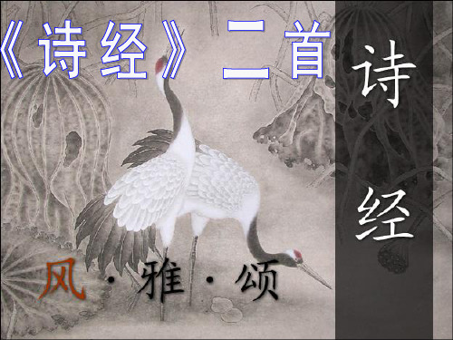 24.《诗经两首》Daisy