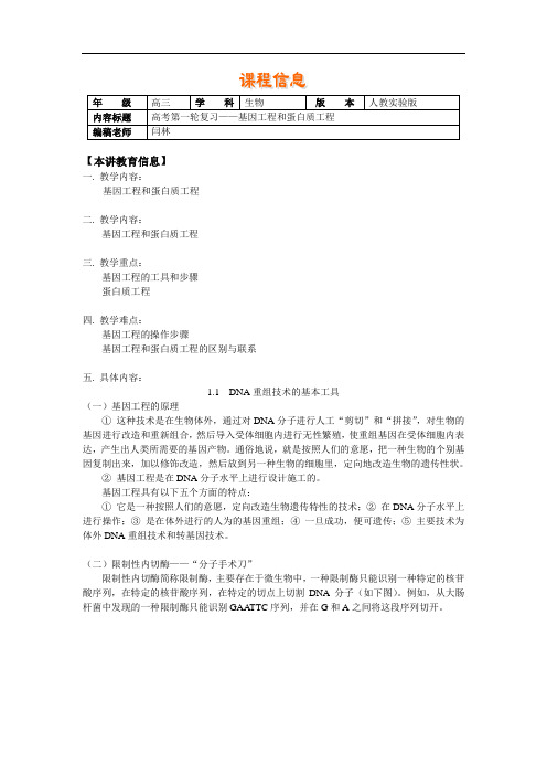 高考第一轮复习        基因工程和蛋白质工程