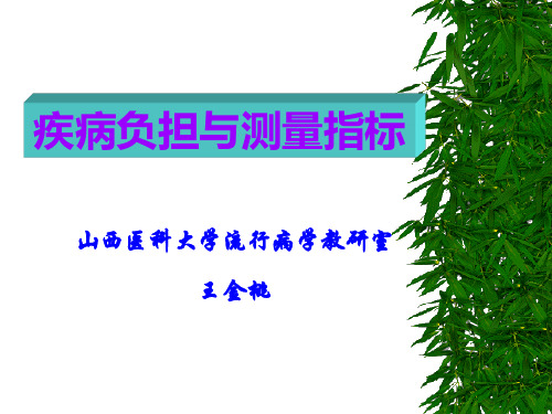 1疾病负担与测量指标-2010