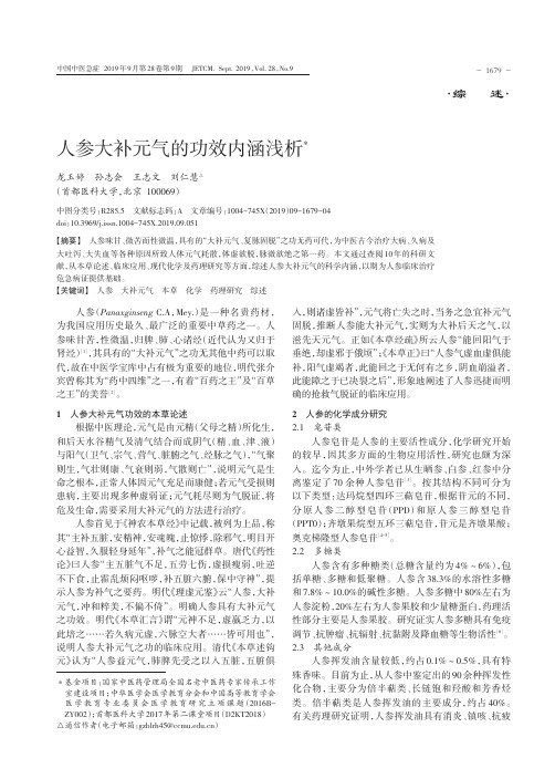 人参大补元气的功效内涵浅析