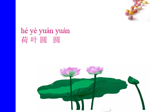 生字课件-课文13荷叶圆圆