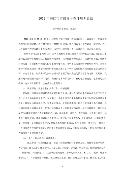2012骨干总结