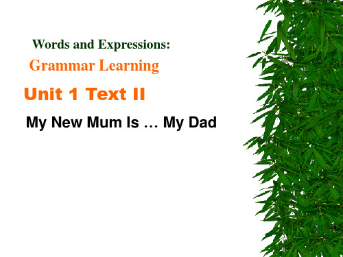 Unit 1 Text II  My New Mum Is … My Dad