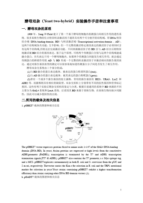 酵母双杂实验操作手册和注意事项