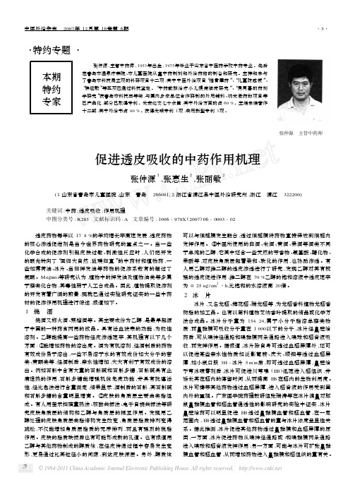 促进透皮吸收的中药作用机理