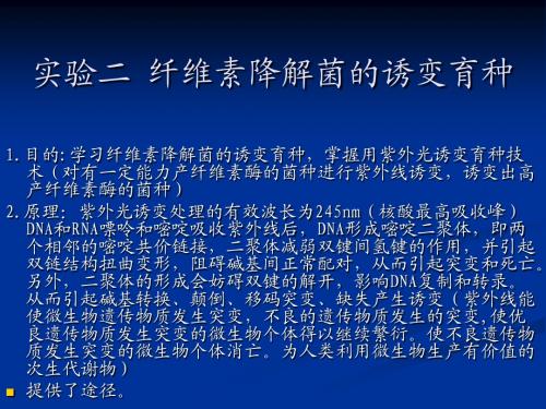 生物工艺学紫外线诱变纤维素降解菌