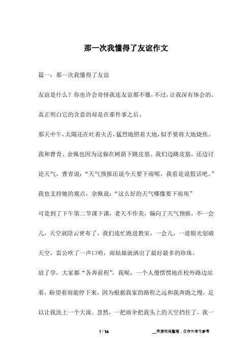 那一次我懂得了友谊作文