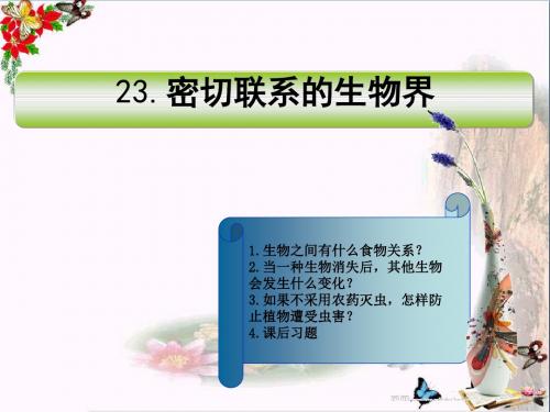 六年级科学上册密切联系的生物界PPT课件10