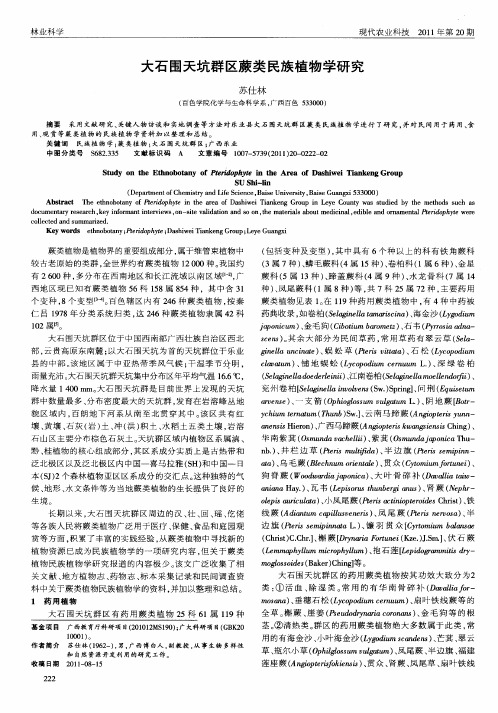 大石围天坑群区蕨类民族植物学研究
