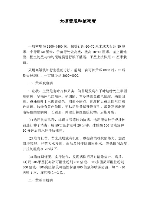 大棚黄瓜种植密度