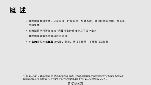 超声引导下盆腔疼痛的介入治疗PPT课件